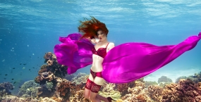 Our exceptional, underwater photo shoot!